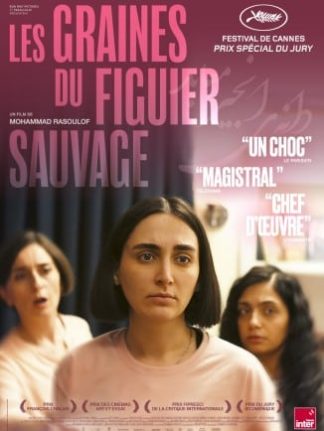 les graines du figuier sauvage